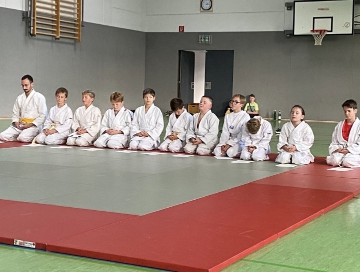 ju jutsu 231015 5 gürtel