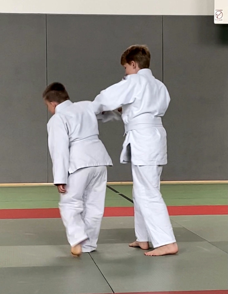 ju jutsu 231015 7 gürtel