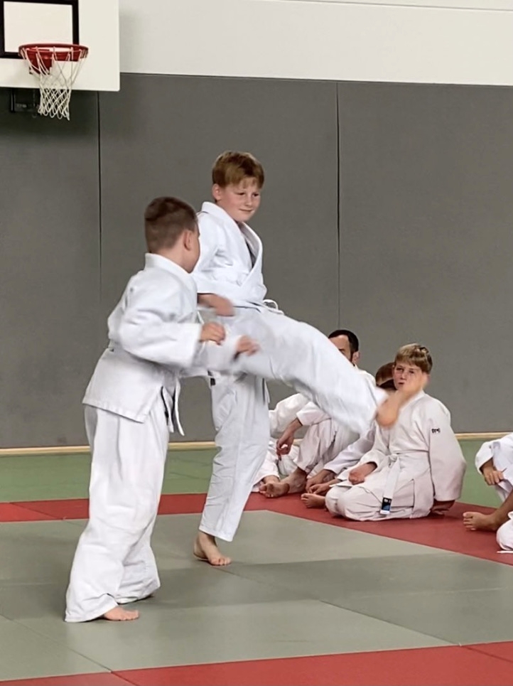 ju jutsu 231015 8 gürtel